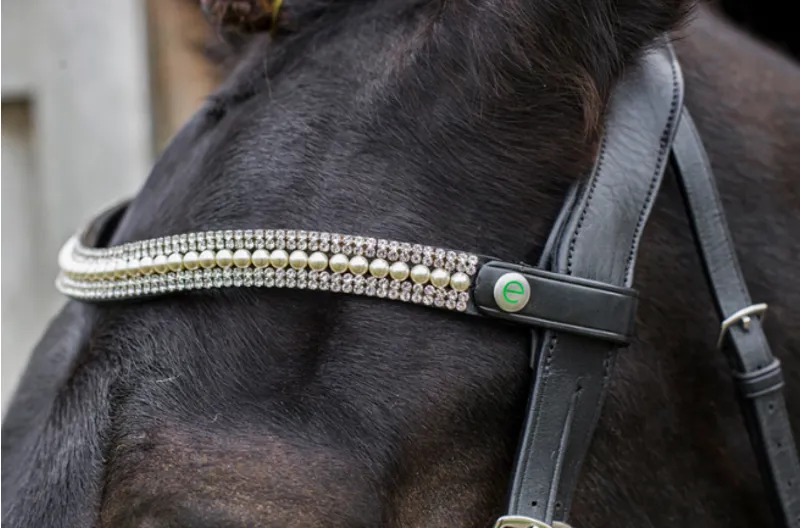 Ecorider Freedom Grace Browband - Brown